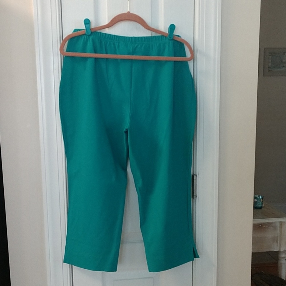 Capris - Picture 2 of 3
